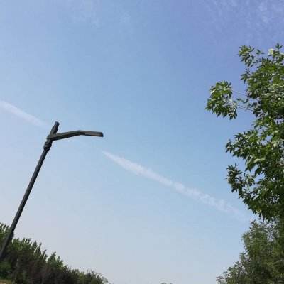权御大秦游戏