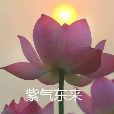 再来一发游戏下载